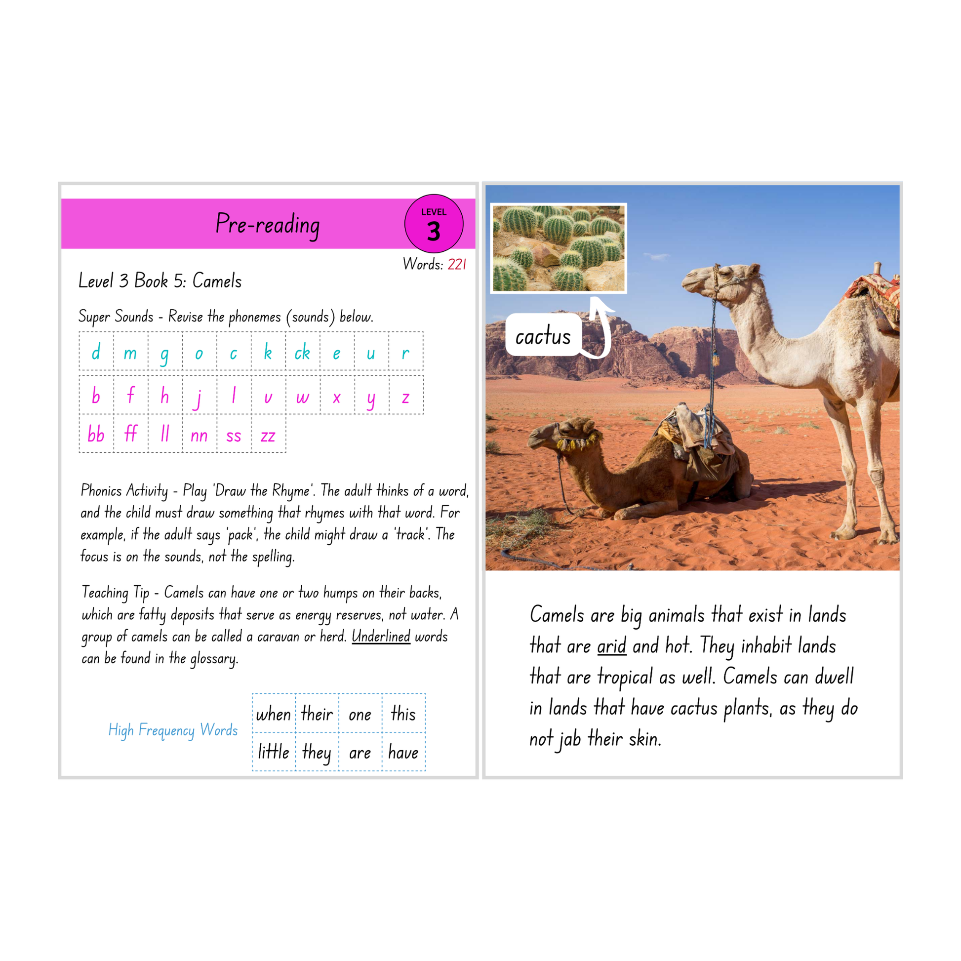 Camels (Level 3 Book 5 - Non-Fiction Series) - SuperLit Readers by EPlatform Limited