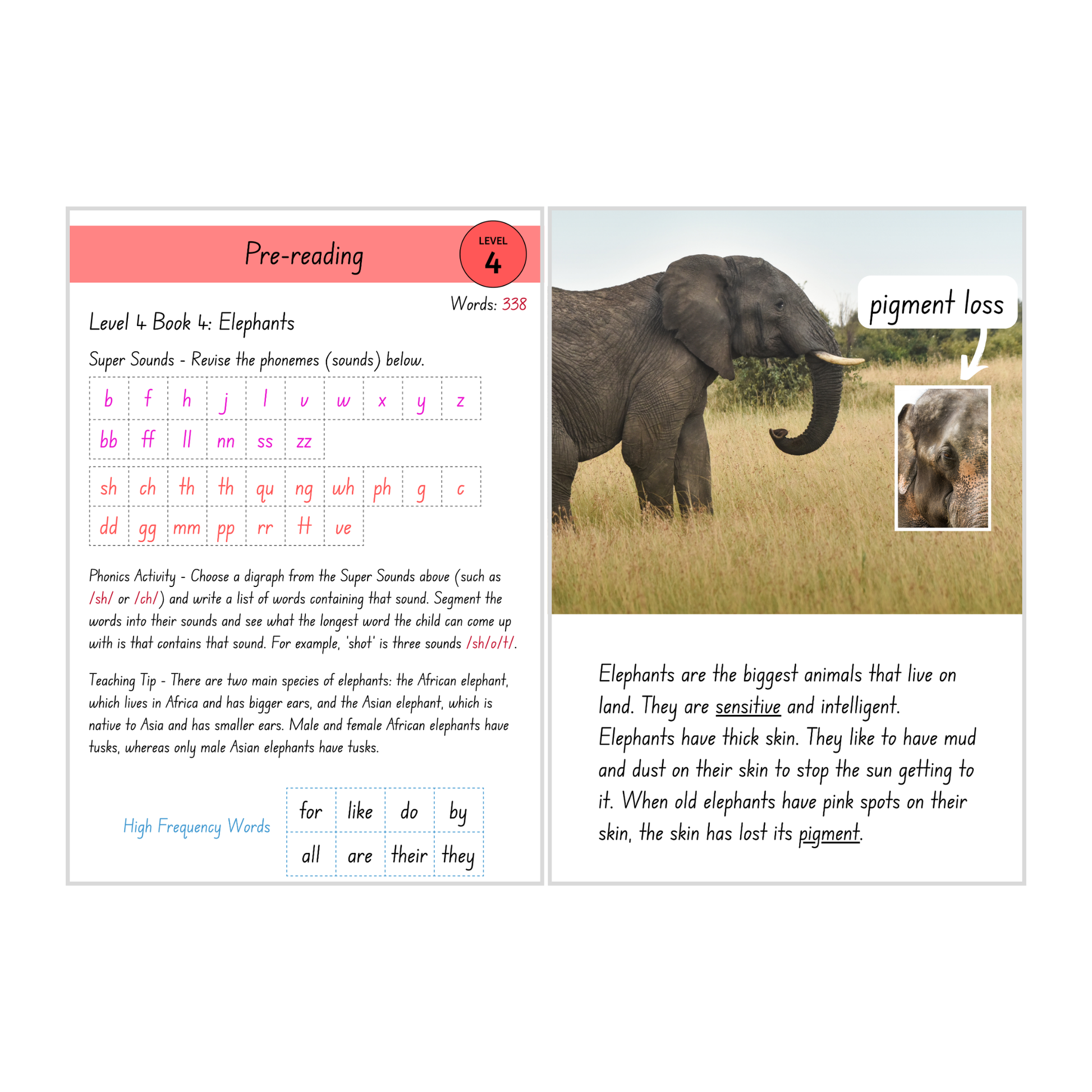 Elephants (Level 4 Book 4 - Non-Fiction Series) - SuperLit Readers by EPlatform Limited