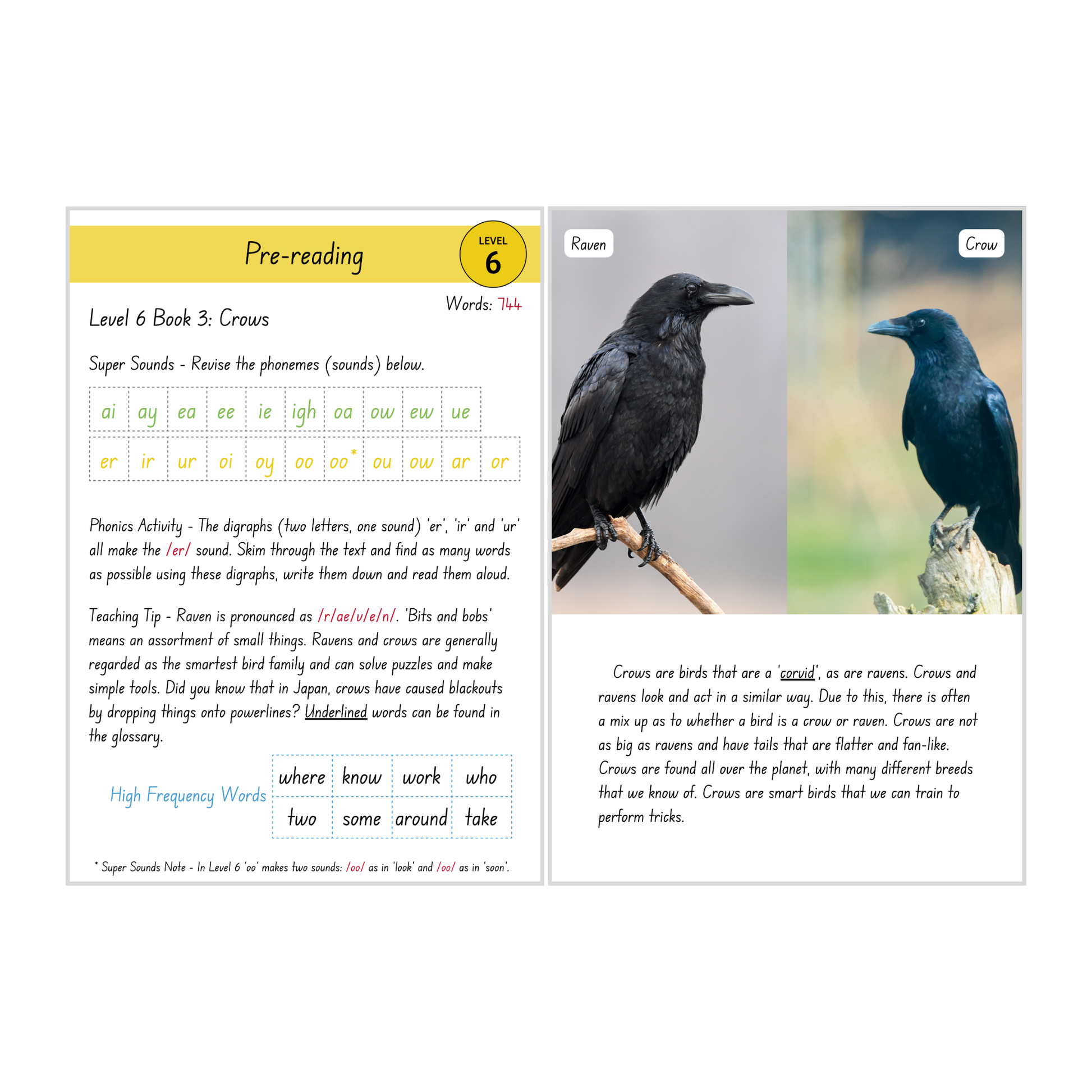 Crows (Level 6 Book 3 - Non-Fiction Series) - SuperLit Readers by EPlatform Limited