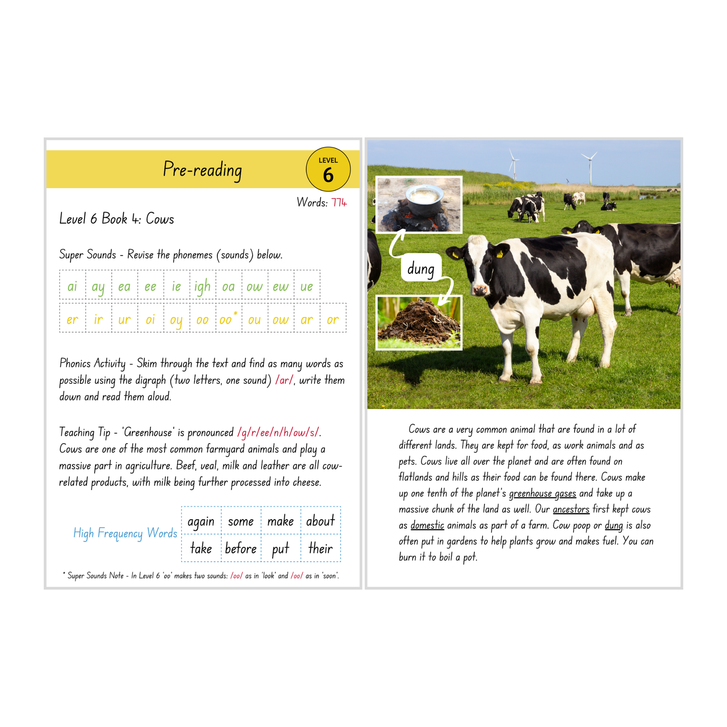 Cows (Level 6 Book 4 - Non-Fiction Series) - SuperLit Readers by EPlatform Limited