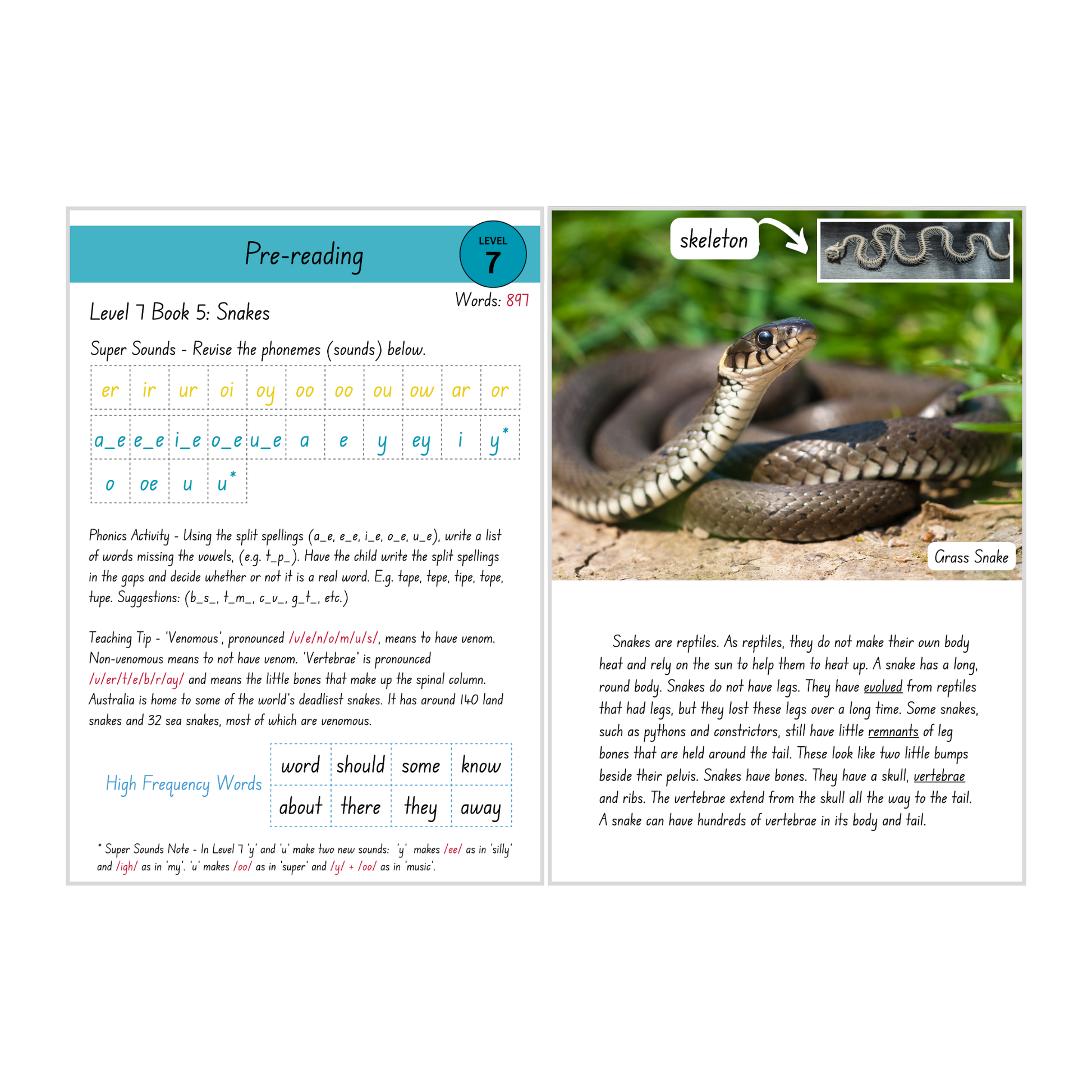 Snakes (Level 7 Book 5 - Non-Fiction Series) - SuperLit Readers by EPlatform Limited