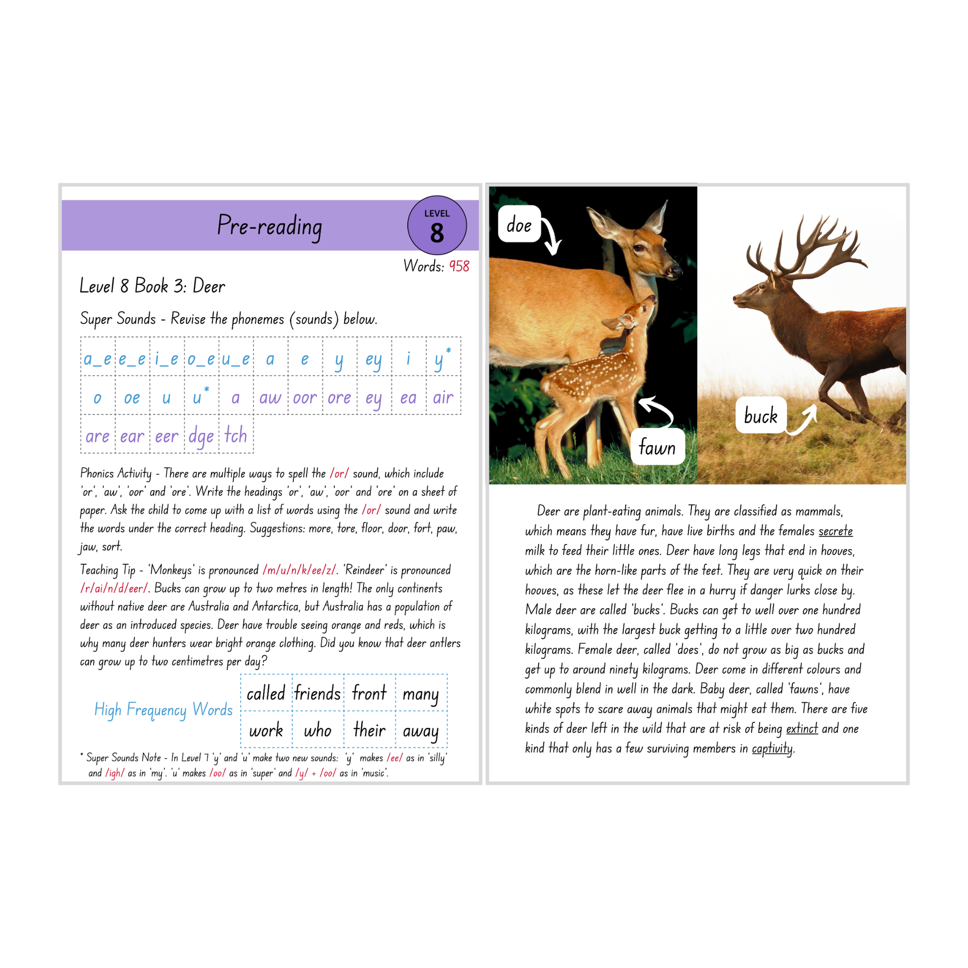 Deer (Level 8 Book 3 - Non-Fiction Series) - SuperLit Readers by EPlatform Limited