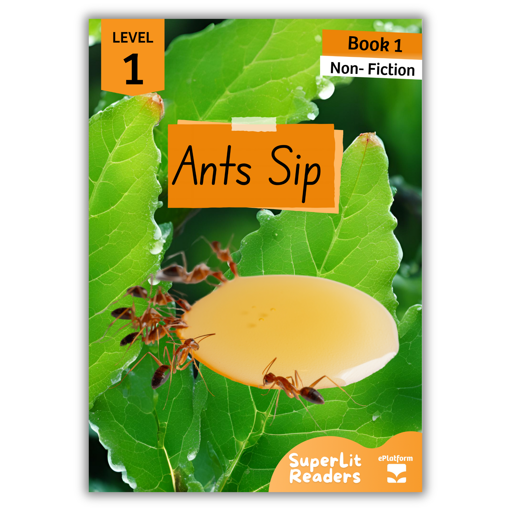 Ants Sip (Level 1 Book 1 - Non-Fiction Series) - SuperLit Readers by EPlatform Limited