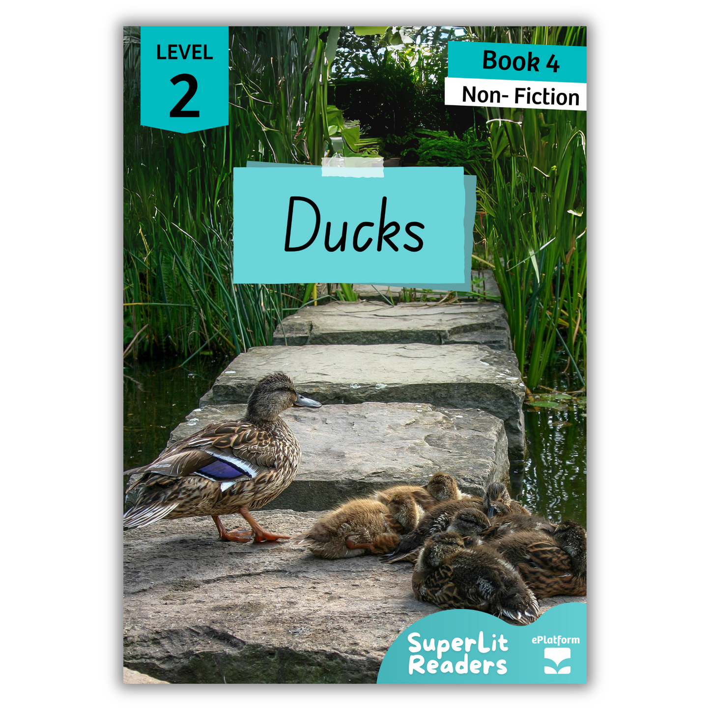 Ducks (Level 2 Book 4 - Non-Fiction Series) - SuperLit Readers by EPlatform Limited