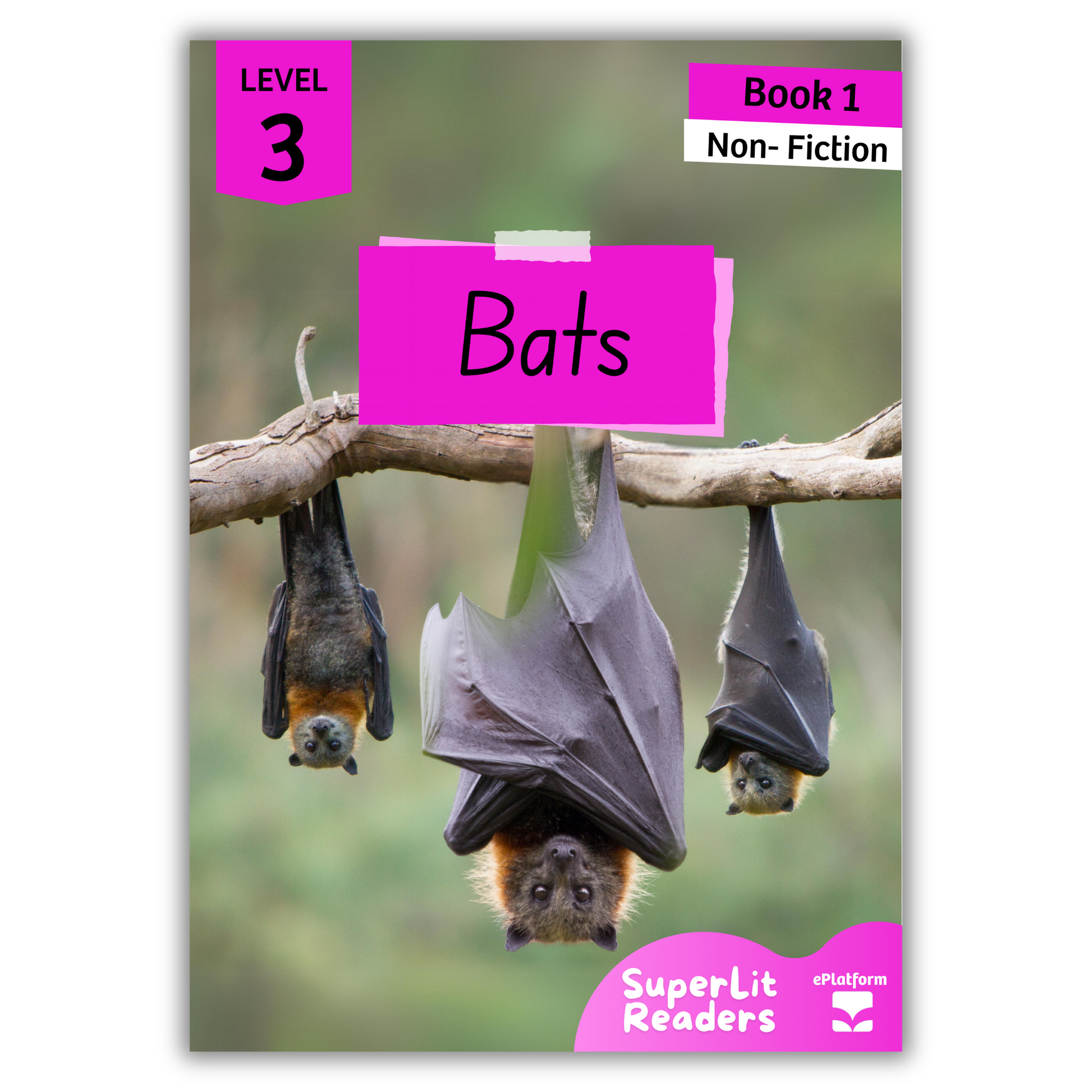 Bats (Level 3 Book 1 - Non-Fiction Series) - SuperLit Readers by EPlatform Limited