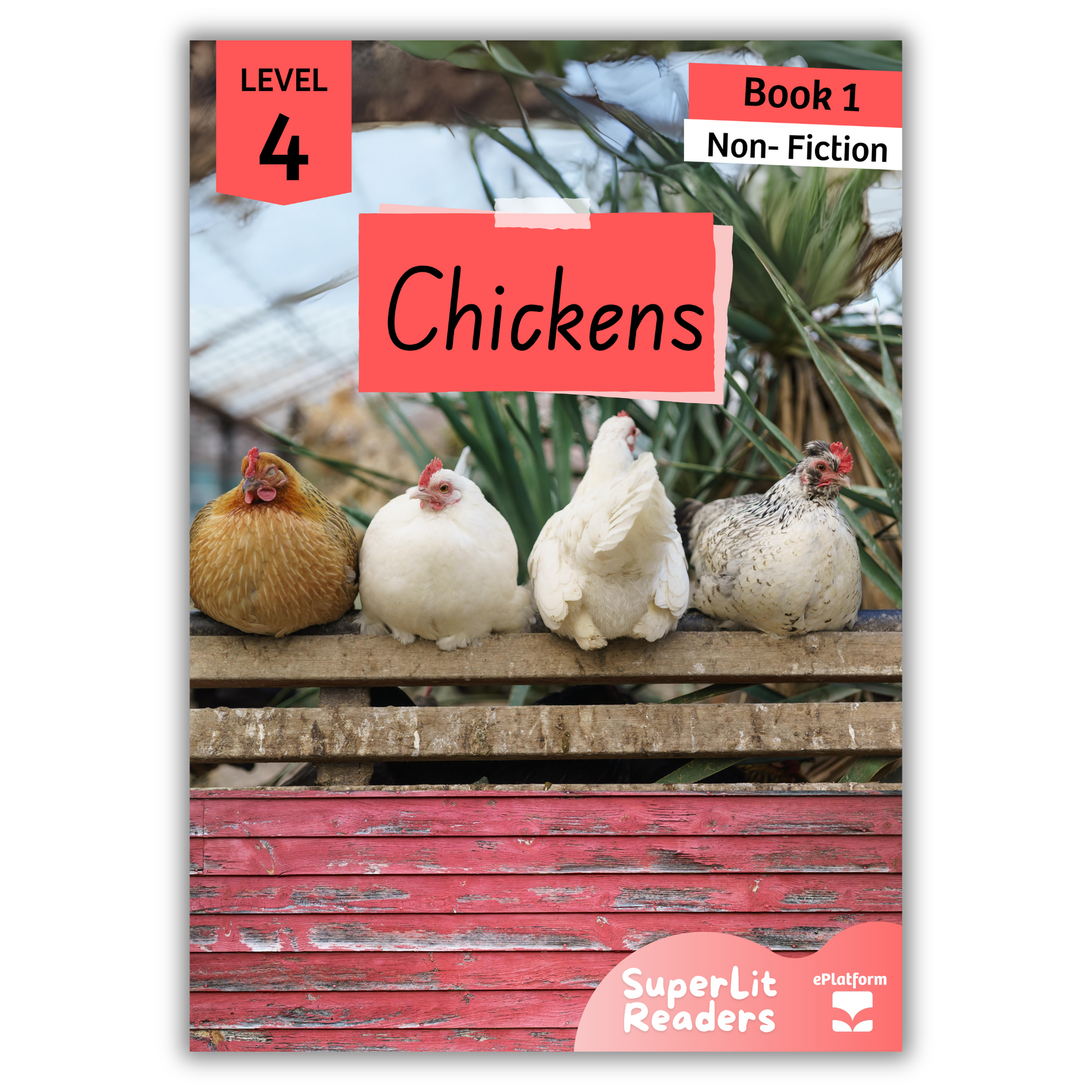 Chickens (Level 4 Book 1 - Non-Fiction Series) - SuperLit Readers by EPlatform Limited