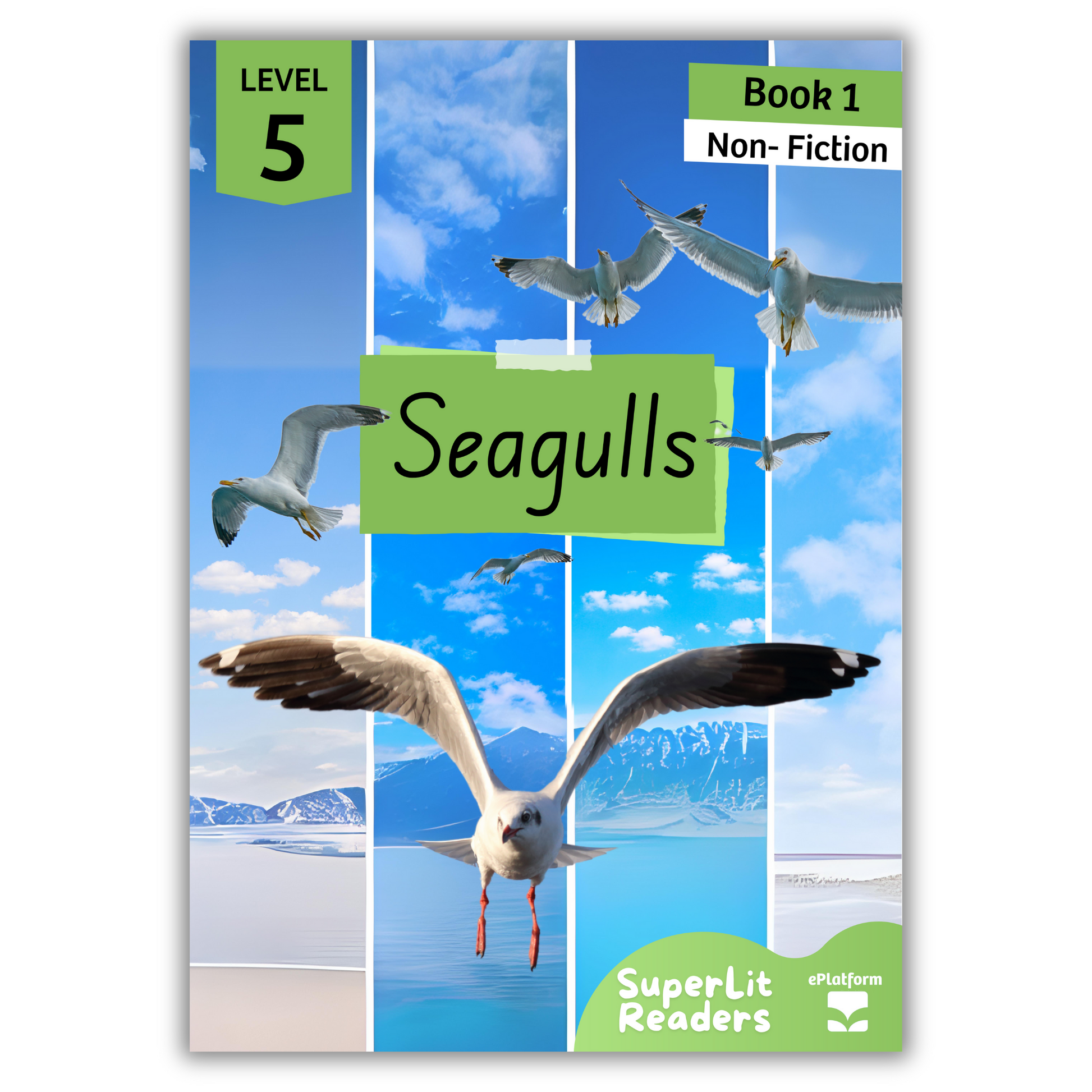 Seagulls (Level 5 Book 1 - Non-Fiction Series) - SuperLit Readers by EPlatform Limited