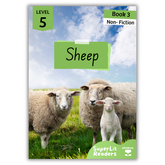 Sheep (Level 5 Book 3 - Non-Fiction Series) - SuperLit Readers by EPlatform Limited